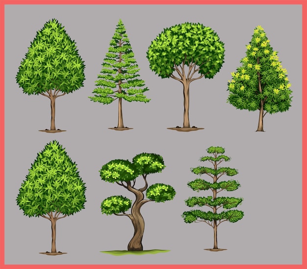 Colección de árboles conjunto de árboles aislados en ilustración vectorial de fondo blanco