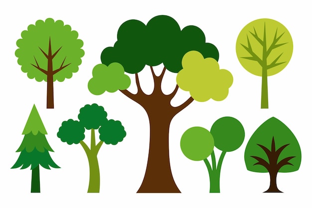 una colección de árboles diferentes, uno de los cuales es un árbol