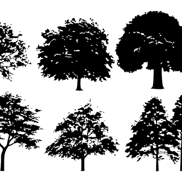 Colección de árboles de grupos realistas siluetas aisladas ilustrador vectorial