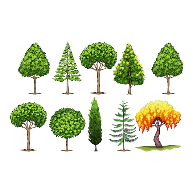 Colección de árboles verdes