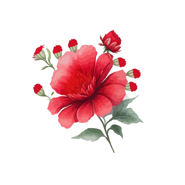 Colección de arreglos florales en acuarela