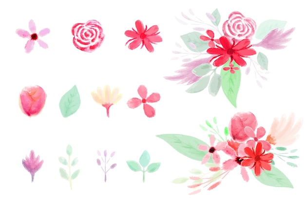 Colección de arte floral acuarela hecho a mano dibujado a mano