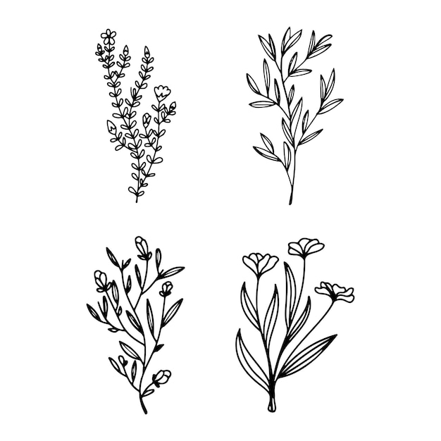 Colección de arte de línea botánica minimalista