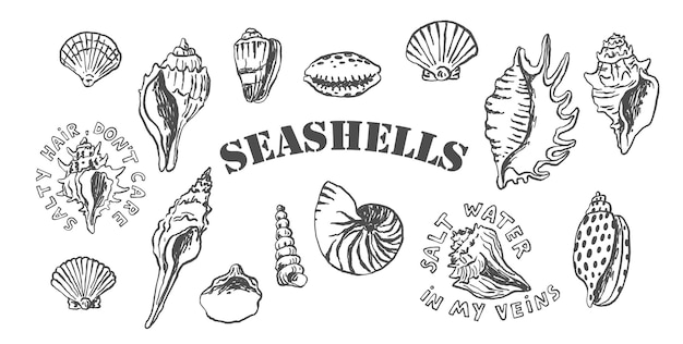 Colección de arte de la línea de conchas marinas dibujados a mano Elementos marinos de verano