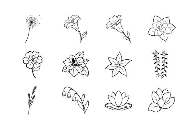 Colección de arte de líneas florales