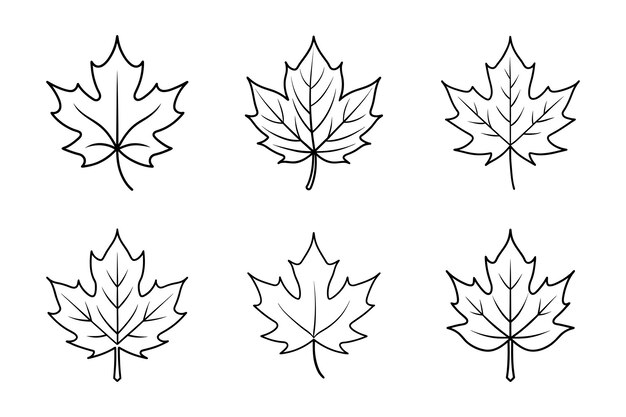 Colección de arte de Maple Leaf Line Elegantes ilustraciones vectoriales negras