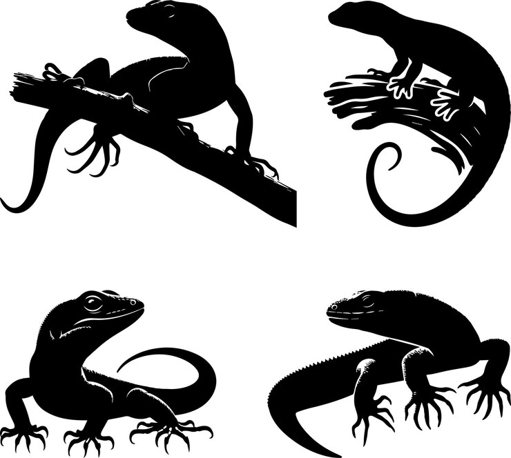 Vector colección de arte vectorial de siluetas de lagarto