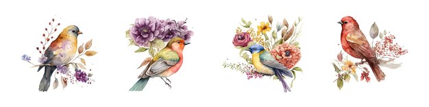 Vector colección de aves de acuarela ilustración de animales