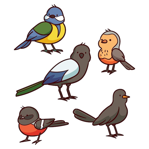 Colección de aves dibujadas a mano