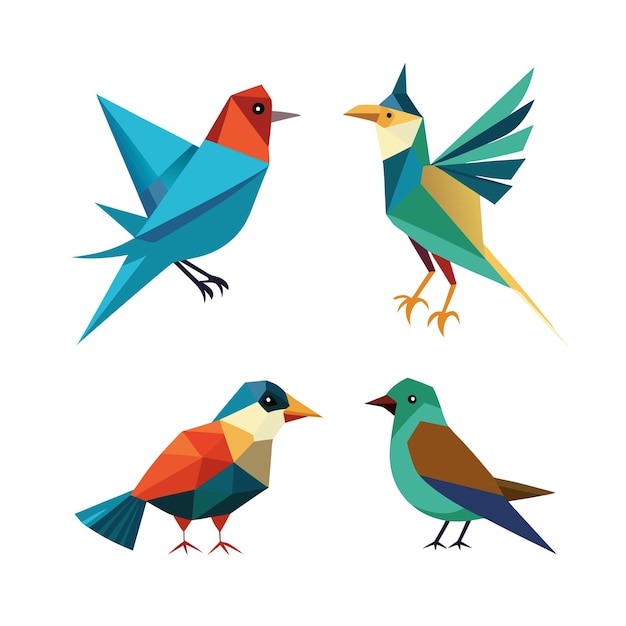 Colección de aves planas