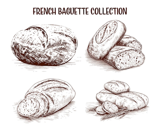 Vector colección de baguettes francesas dibujadas