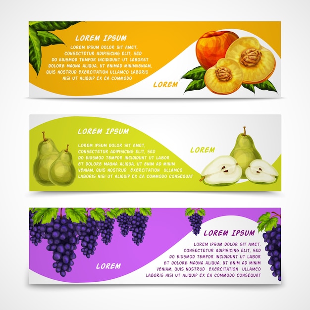 Vector colección de banderas de frutas mezcladas