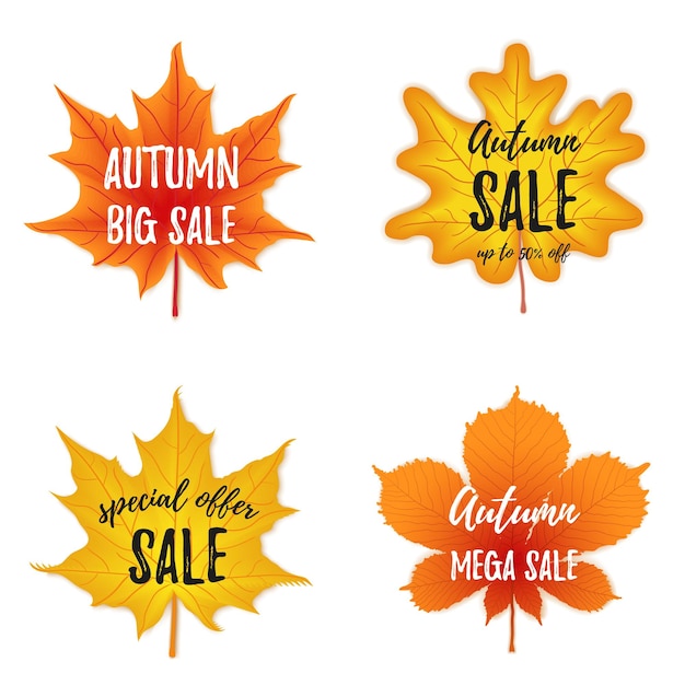 Colección de banner de temporada de otoño de vector. Conjunto de cuatro hojas de octubre con inscripción de saludo, otoño.