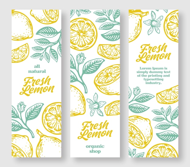 Colección de banner vertical de limón fresco. Dibujado a mano de limones.