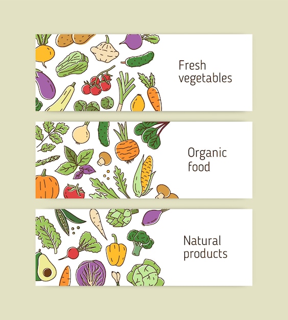 Colección de banners de arte de línea horizontal con verduras y verduras orgánicas saludables. Conjunto de fondos coloridos con productos naturales vegetarianos. Ilustración lineal vectorial.