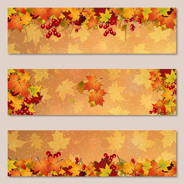 Colección de banners vectoriales horizontales de hojas coloridas de otoño