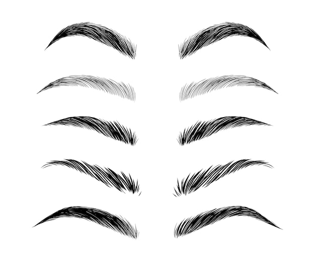 Colección de belleza vector de cejas mujer mujer niña cejas de diferentes formas y tipos