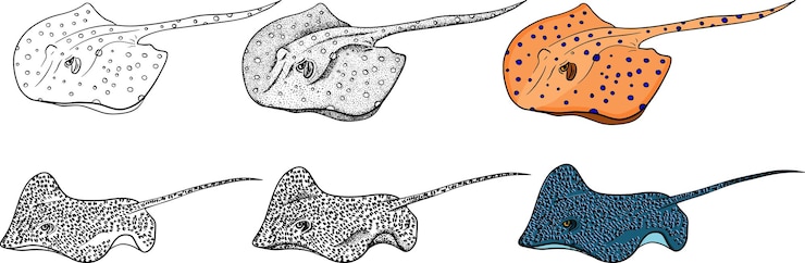 Vector colección de bocetos stingray peces vectoriales dibujados a mano