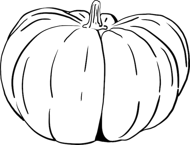 colección de bocetos vectoriales de calabaza dibujada a mano 11