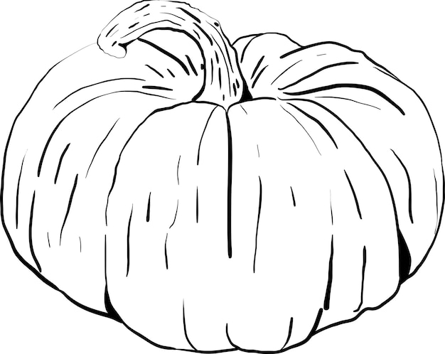 colección de bocetos vectoriales de calabaza dibujada a mano 8