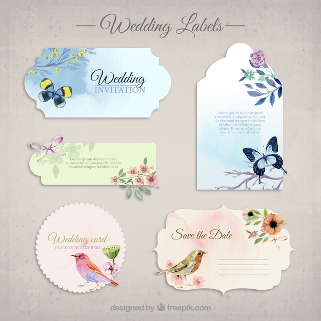 Vector colección de la boda invitaciones