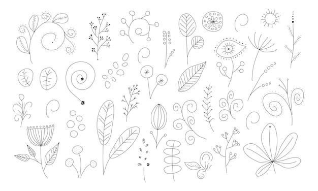 Colección botánica mágica Ramas flores y hojas ilustración vectorial dibujada a mano