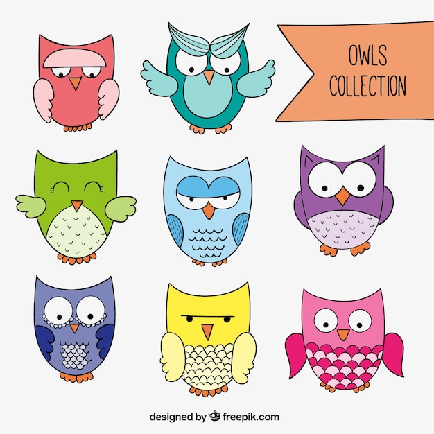 Colección de búhos esbozados