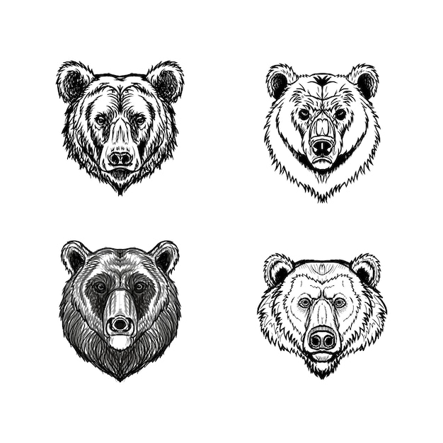 Vector colección de cabezas de oso