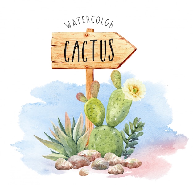 Colección de cactus acuarela con signo de madera.
