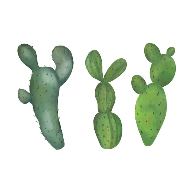 Colección de cactus de acuarela