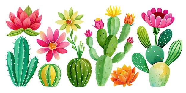 Colección de cactus aislados en el fondo blanco Ilustración del conjunto dibujada a mano en acuarela