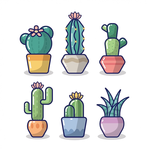Colección de cactus en blanco