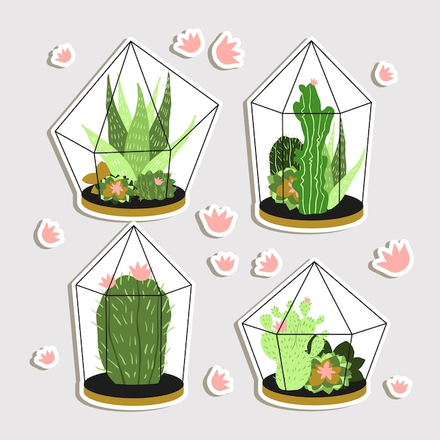 Colección de cactus bonitos