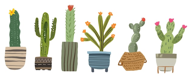 Una colección de cactus y cactus en macetas.