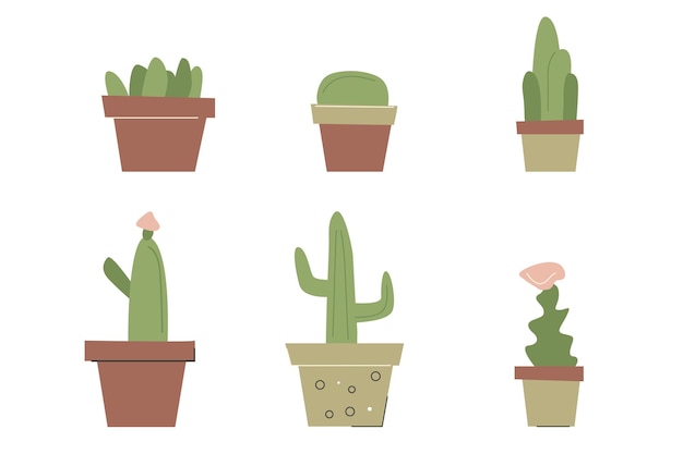 Colección de cactus de la casa en estilo de dibujos animados planos Suculentas decoración de la casa minimalista de moda