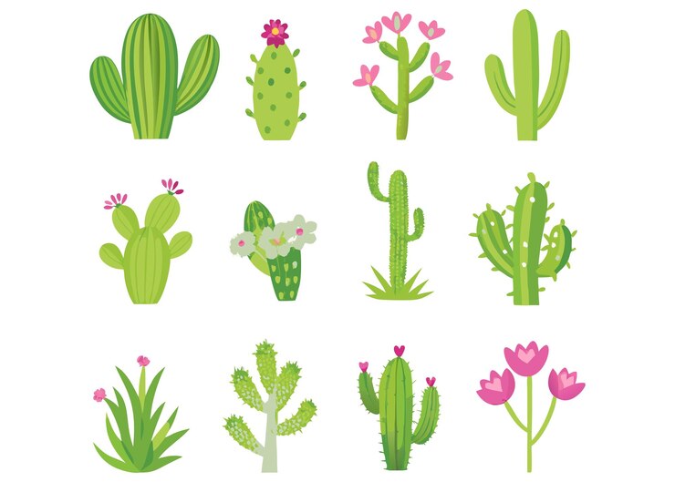 Vector colección de cactus a color