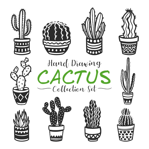 colección de cactus dibujados a mano