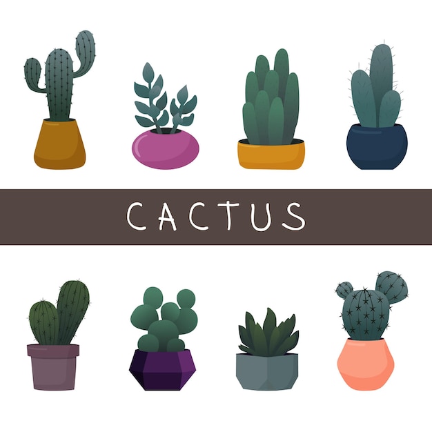 Una colección de cactus en macetas con la palabra cactus