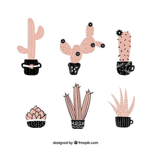 Vector colección de cactus rosa