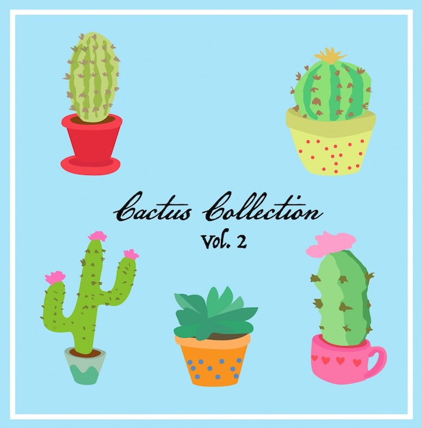 Colección Cactus