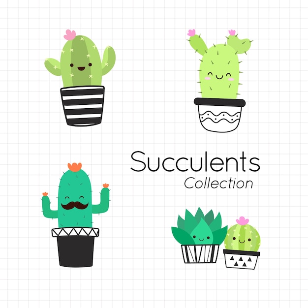 Colección de cactus