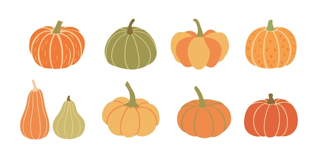 Colección de calabazas Conjunto de diferentes calabazas Ilustración vectorial