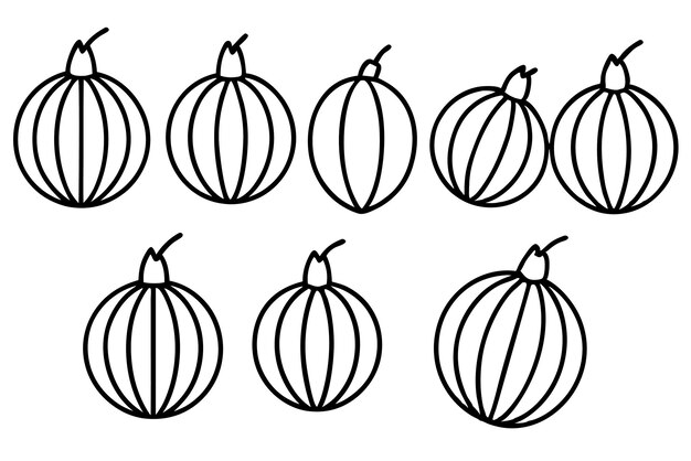 una colección de calabazas con una línea de líneas dibujadas en ellas