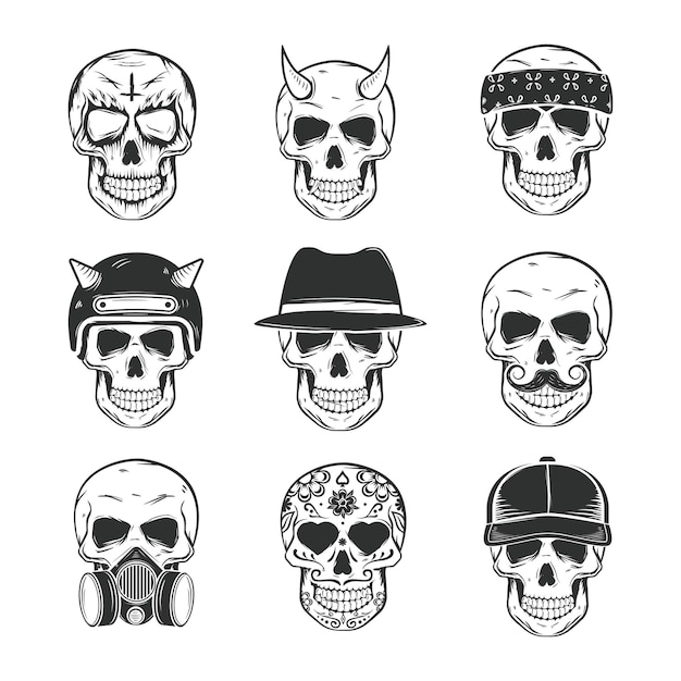 colección de calaveras