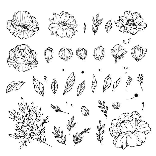 Colección de capullos de rosa. Elementos de rosas aisladas sobre fondo blanco. Ramo de rosas. Flor aislada contra el blanco. Hermoso conjunto de flores. Ilustración vectorial.