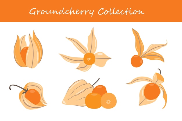 Colección de cerezas en diferentes posturas Ilustración vectorial