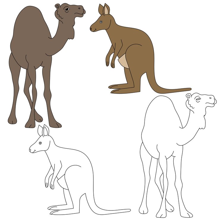 Vector colección de clipart de animales salvajes para los amantes de la selva y la vida silvestre
