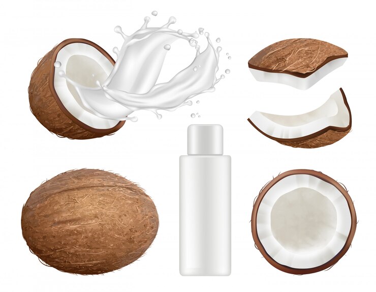 Vector colección de coco. fruta fresca de coco tropical con leche vector naturaleza cocos ilustraciones realistas