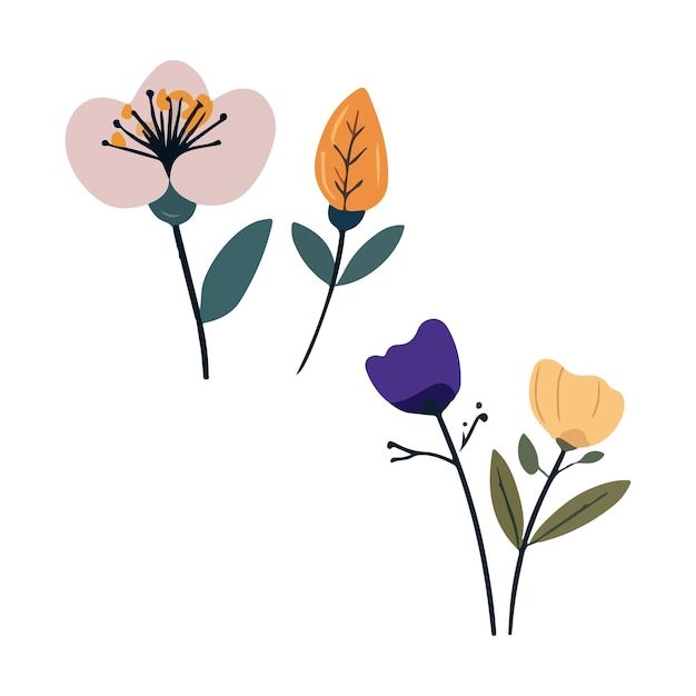 Colección colorida de flores de primavera