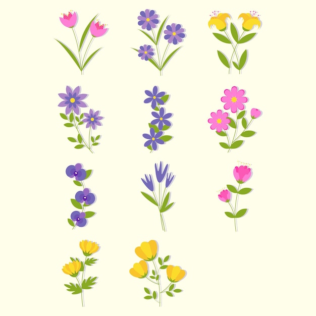 Colección de coloridas ilustraciones de flores